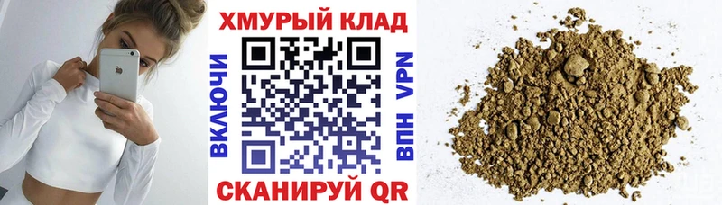 ГЕРОИН хмурый Кедровый