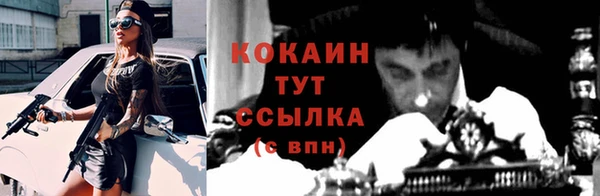 дмт Аша