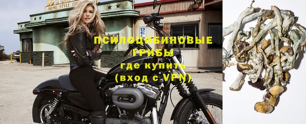тгк Абинск