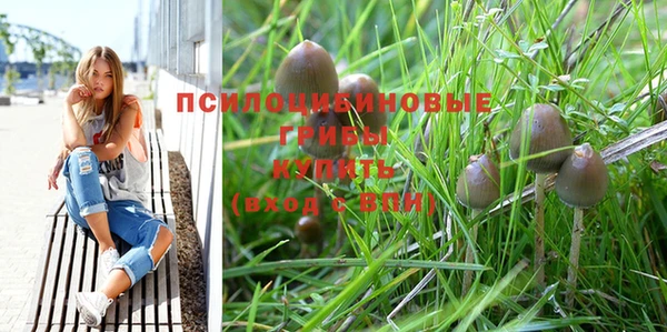 трава Абаза